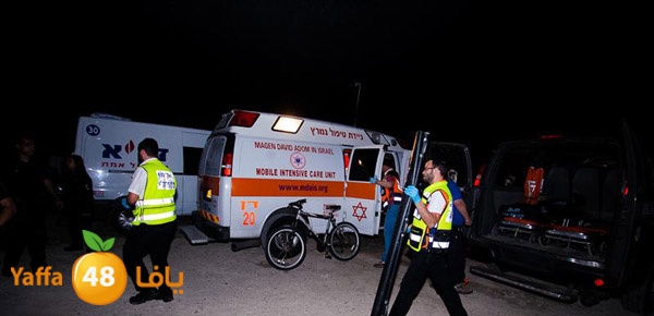 3aregmontreeh520 (33).jpg